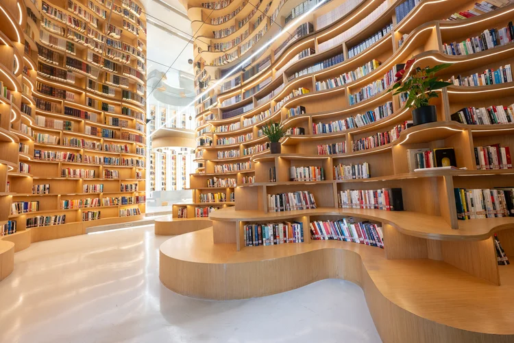 5 indicações de livros para se desconectar no feriado