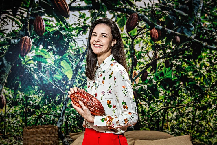 A estratégia da Dengo para driblar o cacau a US$ 10 mil por tonelada