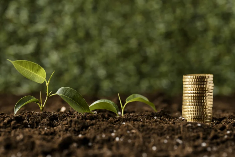 A importância estratégica da economia florestal brasileira