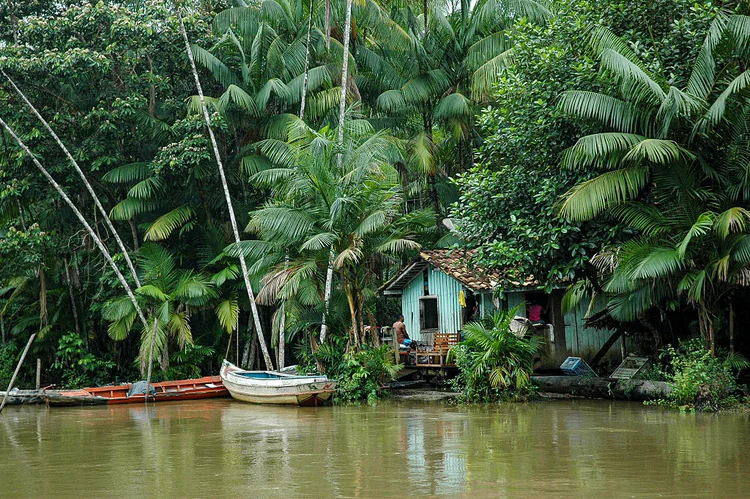 Açaizais como infraestrutura urbana? Caminhos para Amazônia Urbana rever a relação com as águas