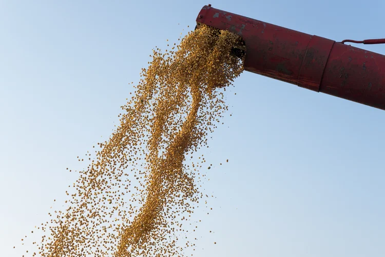 Alta da soja reforça atenção do agronegócio a exportações, demanda e clima global