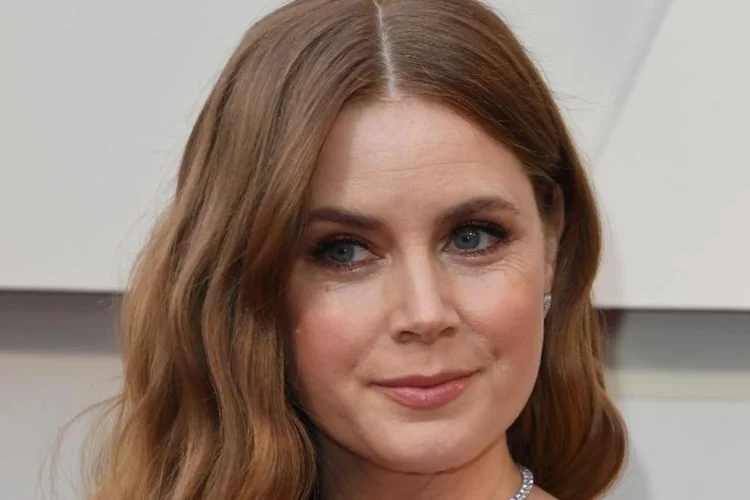 Amy Adams revela como ajudou a salvar homem esfaqueado durante passeio em família
