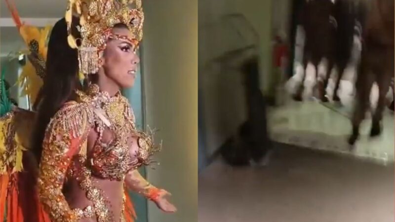 Antes de desfile, musa e integrantes da comissão de frente protagonizam confusão nos bastidores