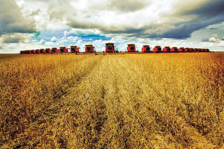 Após guerra no Irã, fertilizantes podem encarecer 30% e pressionar Brasil