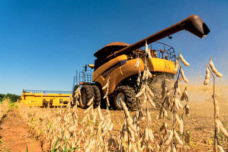 Avanço da colheita em MT favorece Rumo e Hidrovias, mas clima segue no radar