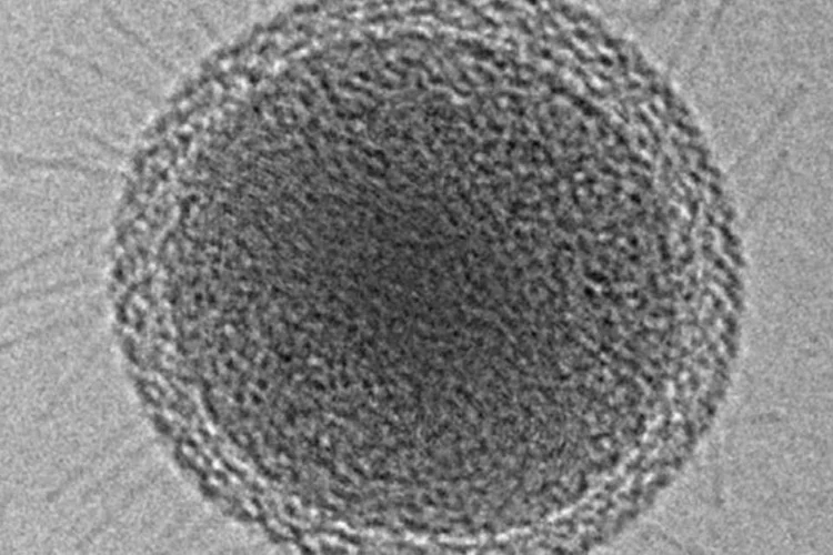 Bactéria de 5 mil anos resistente a antibióticos é achada em caverna de gelo