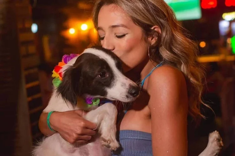 BBB 26: cachorro de Samira vira sucesso nas redes e supera brother eliminado