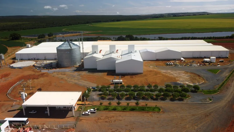 Boa Safra expande atuação e fecha joint venture de US$ 9,7 milhões na Nigéria