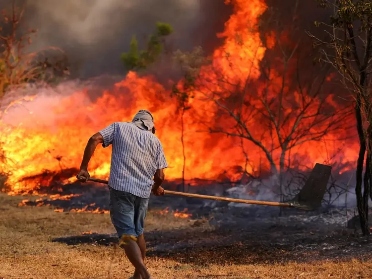 Brasil avança na governança climática, mas queimadas batem recorde e desastres custam R$ 38 bi