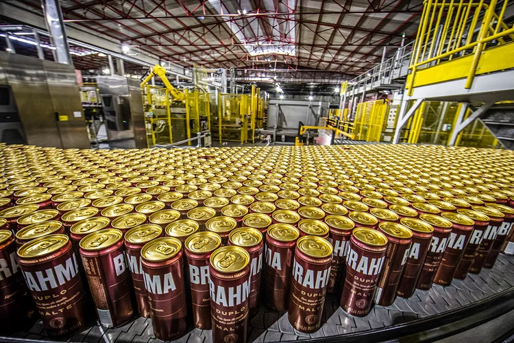 BTG inclui Ambev em carteira de ações de julho e traz Allos de volta