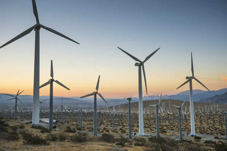 Busca por minerais críticos causa crise ambiental e de saúde, diz ONU