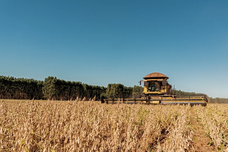 CAE adia votação de renegociação bilionária de dívidas do agro