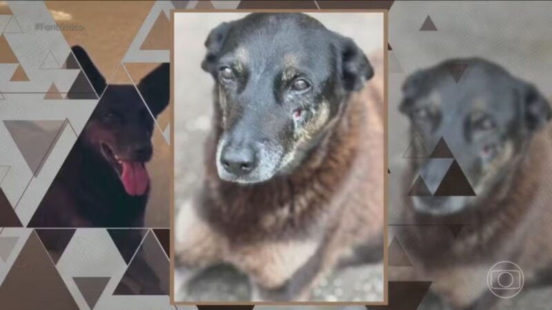 Caso Orelha: Síndica quebra o silêncio após afastar porteiro de condomínio em SC