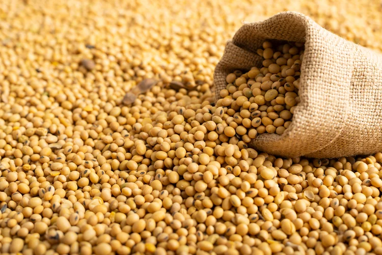 China aposta em tecnologia e qualidade para aumentar valor da soja no país