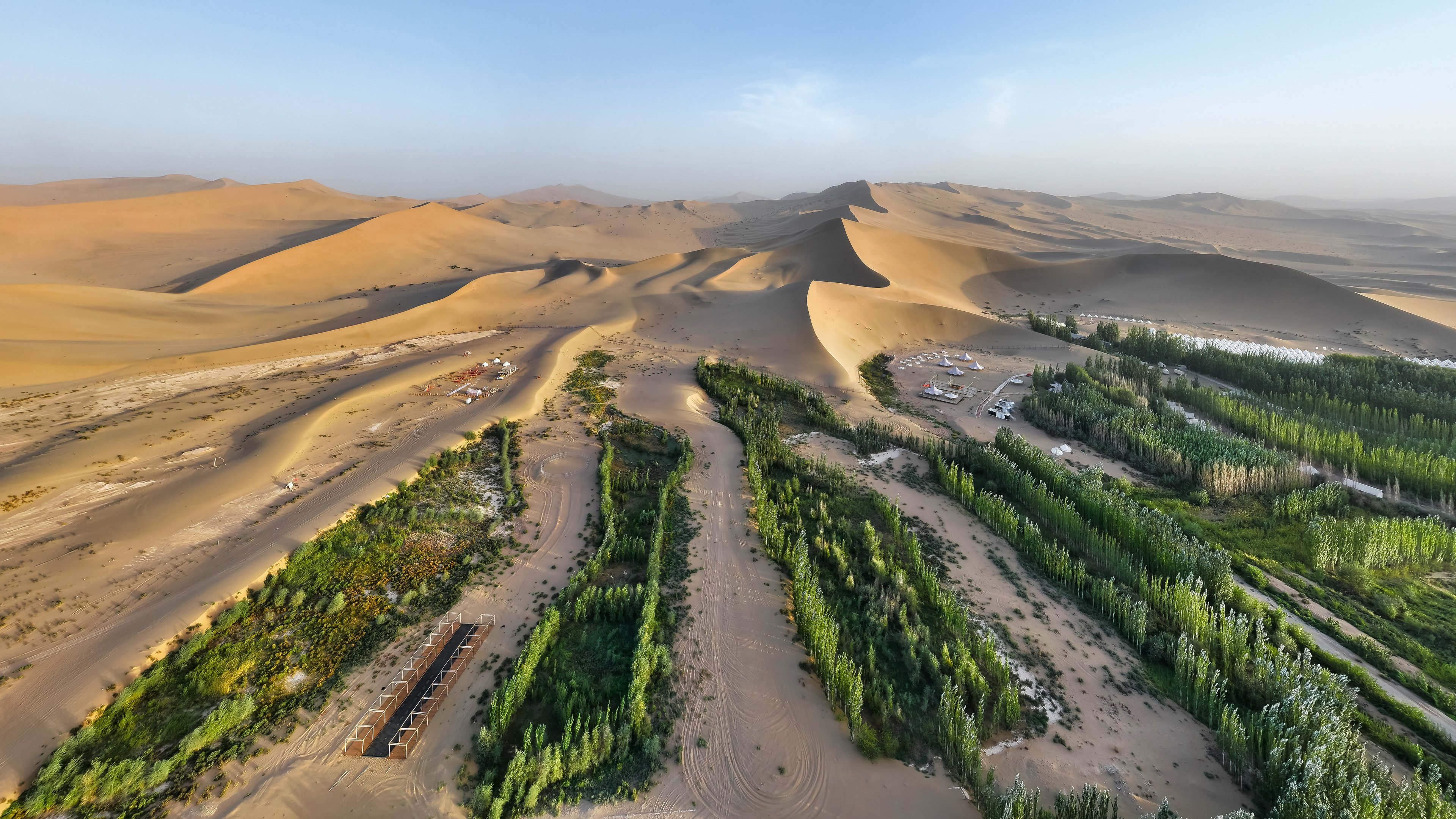 China plantou milhões de árvores para conter deserto — mas floresta consumiu toda água da população