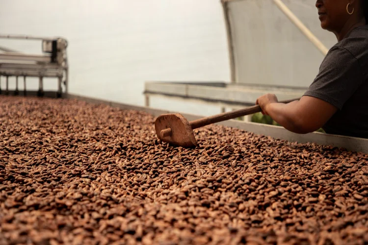 Chocolat du Jour: como a verticalização e a 2ª geração impulsionam a marca
