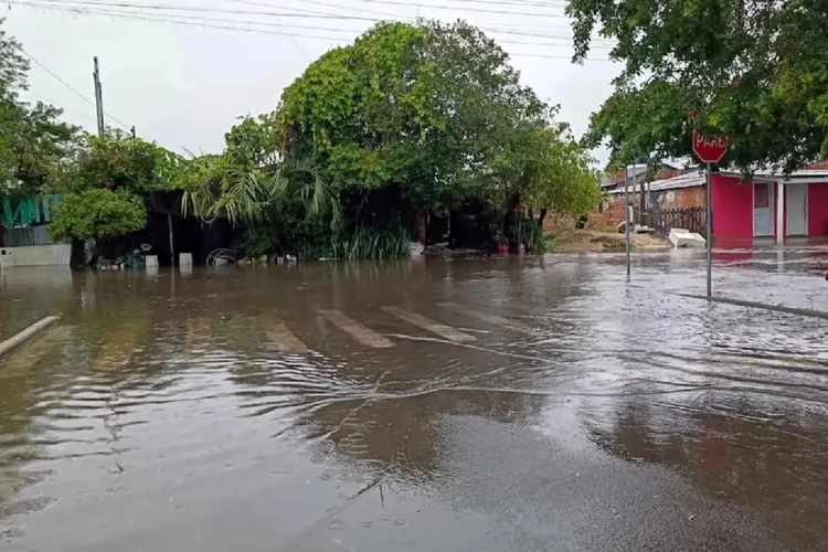 Chuvas em Pernambuco: governo decreta emergência em 27 cidades