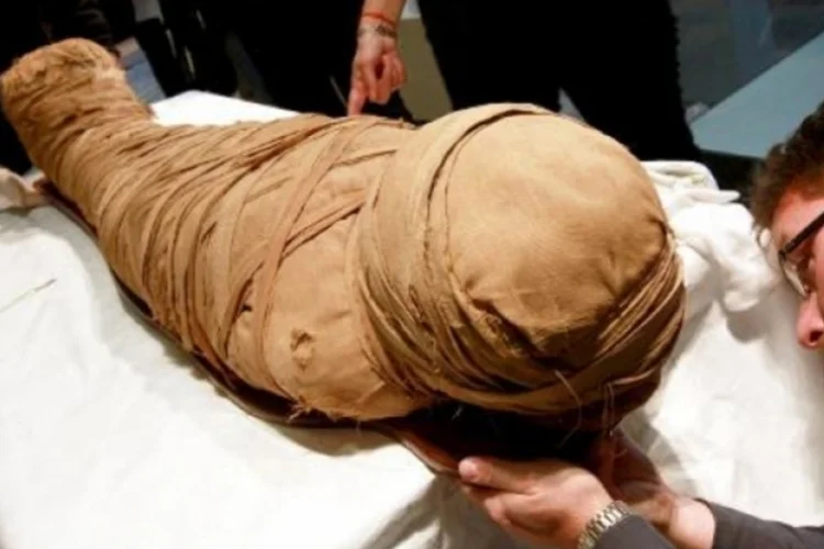 Cientistas revivem levedura de múmia de 5.300 anos para fabricar pão artesanal