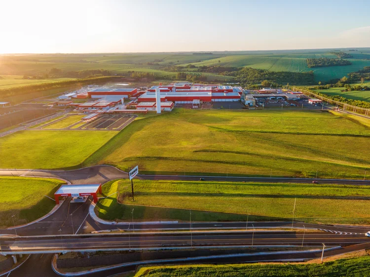 Com R$ 1,45 bilhão, Frimesa avança em SP para disputar mercado de proteínas