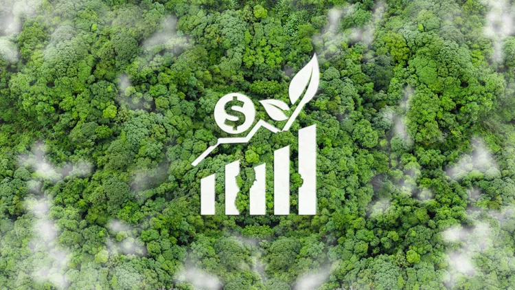 Com regras claras para exportação de ITMOs, Brasil pode liderar mercado global de remoção de carbono