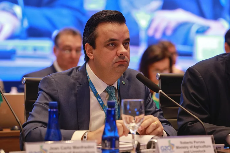 'Confiamos numa solução do governo', diz Perosa sobre cotas da China para carne