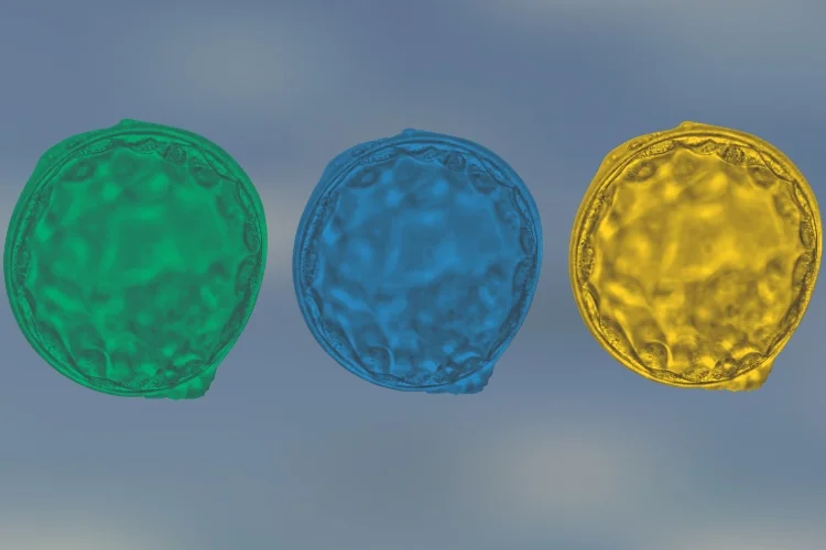 Conheça a IA ‘tropicalizada’ que ajuda a mulher brasileira a engravidar