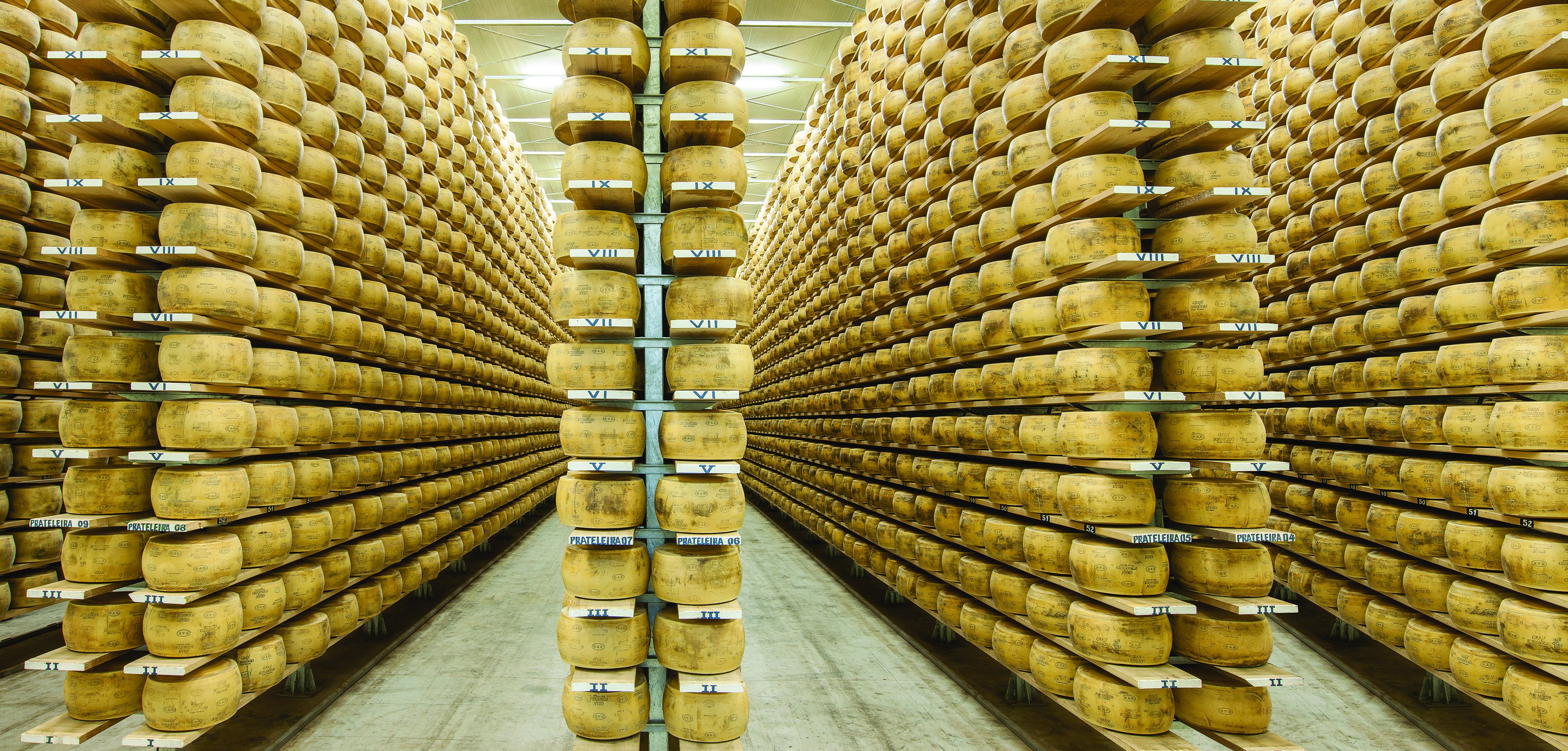 Da carroceria ao 'queijo premium': os negócios de uma das famílias mais ricas do RS