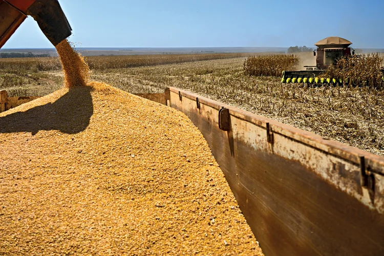 DDGS mira China e pode destravar mercado de R$ 7,8 bilhões para o agro do Brasil