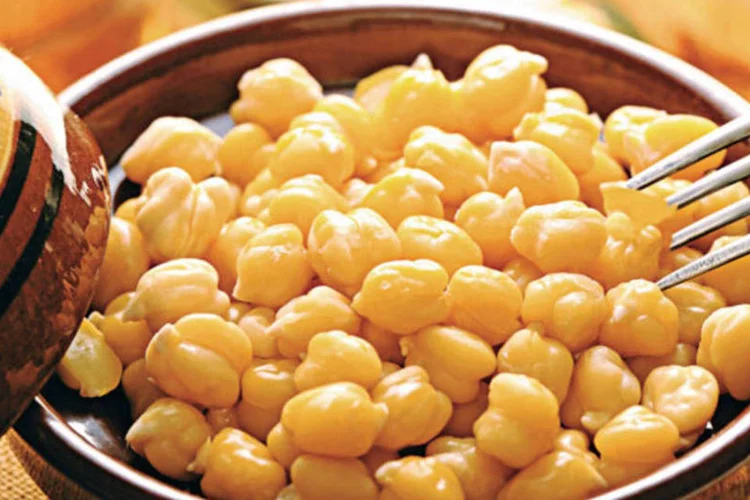 De olho na colonização da Lua, cientistas cultivam grão-de-bico em solo lunar