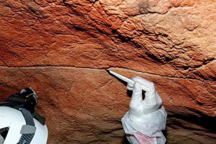 DNA em pinturas rupestres pode revelar quem pintou as primeiras obras da humanidade