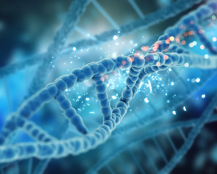 DNA ou criação? Estudo com gêmeos revela o que realmente define o sucesso