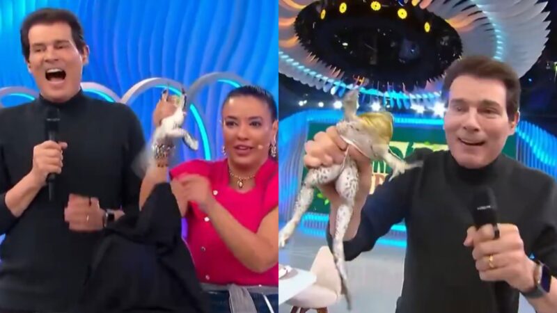 Domingo Legal é detonado após uso de animal ao vivo: ‘Abriu as porteiras do inferno’