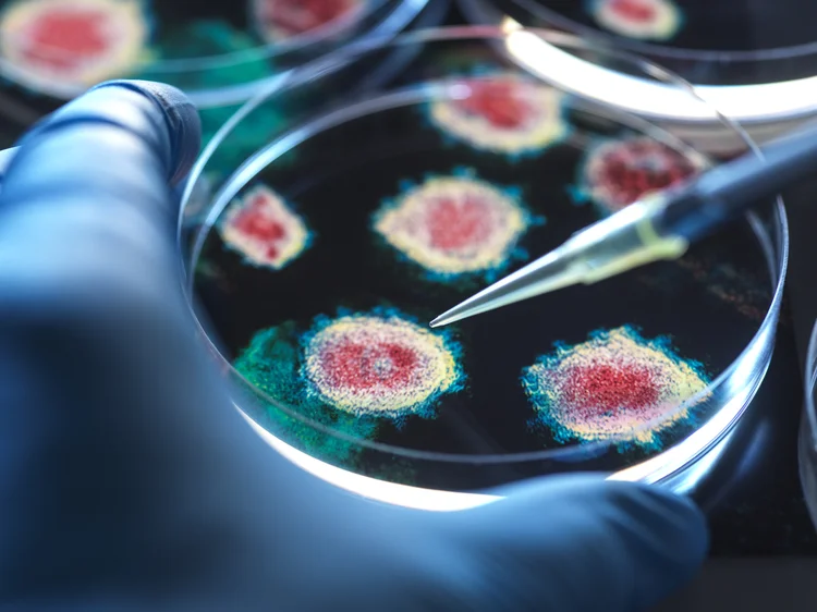 E se o ultrassom pudesse destruir vírus? Ciência começa a testar