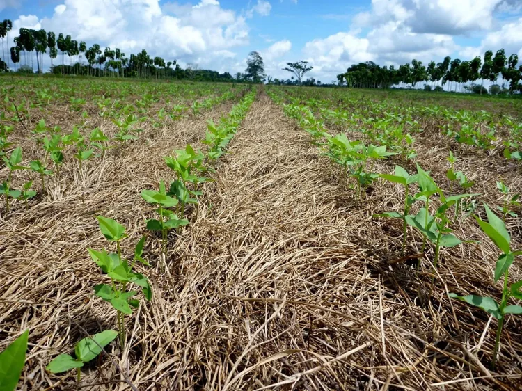 'El Niño Godzilla' entra no radar do agro e começa preocupar próxima safra