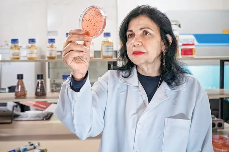 Ela achou que era golpe — e era a Time: a cientista da Embrapa na lista dos mais influentes