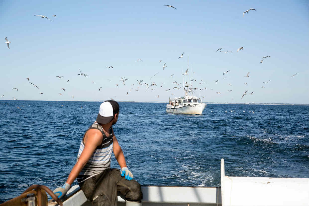 Ele trocou o trabalho na pesca por um império de 13 milhões de dólares com capital próprio