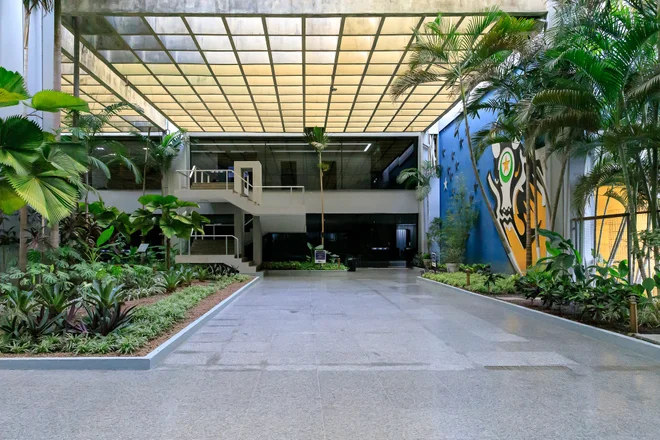 Eleições 2026: quem são os possíveis candidatos a governador de Mato Grosso?