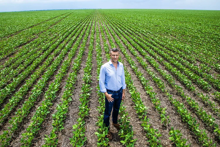 Empresa do 'rei dos ovos' já vale mais que BRF e Marfrig