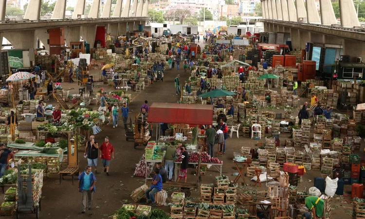 Enel investe R$ 3 milhões para melhorar consumo energético na Ceagesp