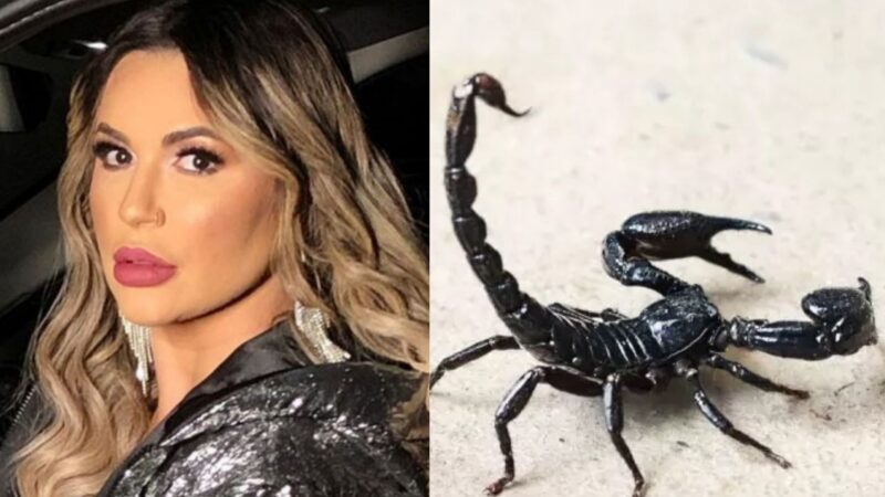 Escorpiões, crises de pânico e dificuldades para comer: saiba detalhes da rotina de Deolane na prisão