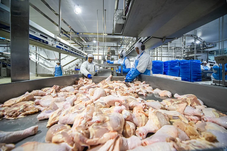 Exportações de frango crescem 5% no 1º tri, apesar de guerra no Oriente Médio