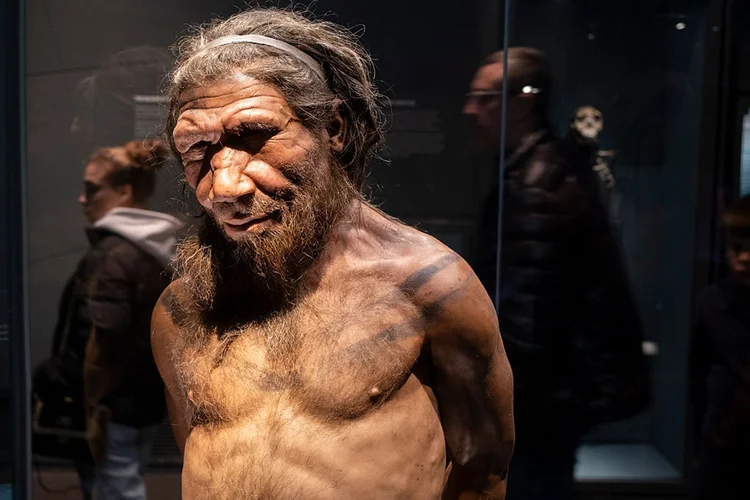 Falta de conexão pode ter levado neandertais à extinção, revela estudo