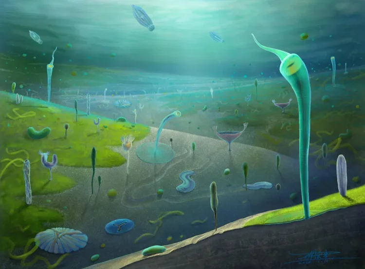 Fósseis na China revelam que vida surgiu milhões de anos antes do esperado