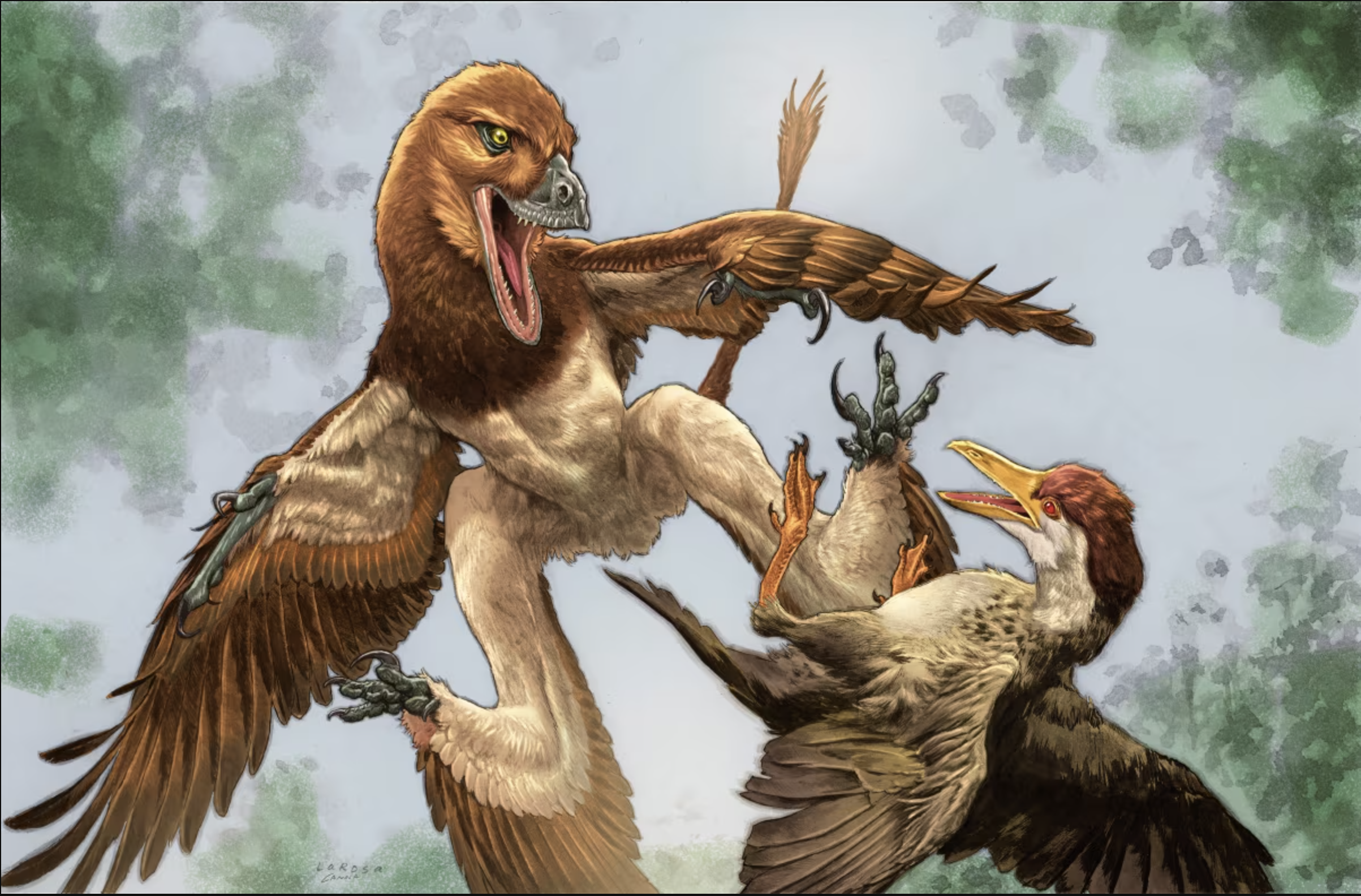 Fóssil raro encontrado na China revela nova espécie de dinossauro com quatro asas