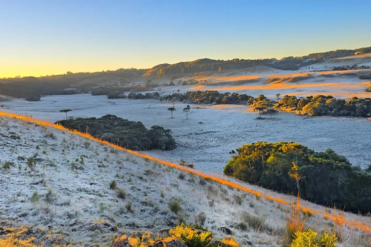 Frente fria derruba temperaturas no Brasil neste fim de semana; confira