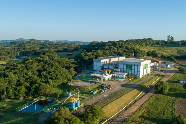 Gaúcha de congelados muda de dono e mira R$ 1 bilhão em cinco anos