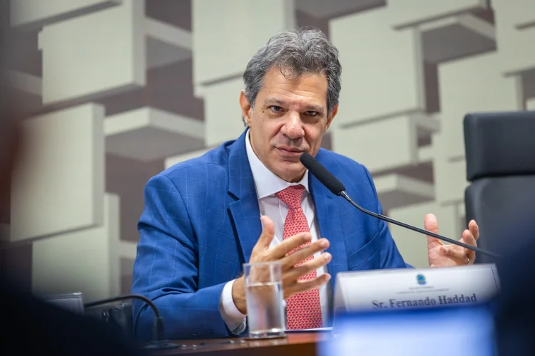 Haddad: Brasil pode crescer entre 3,5% a 4% ao ano em 'próximo mandato'