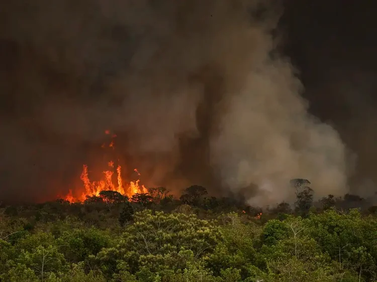 Incêndios florestais batem recorde global — e o El Niño pode agravar
