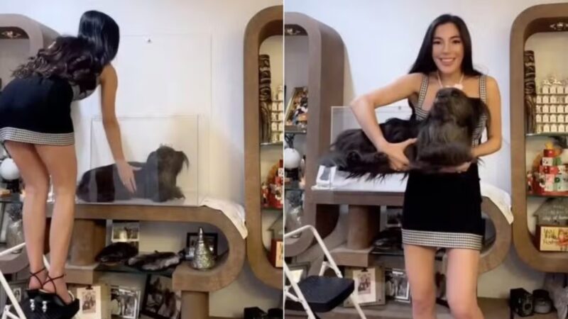 Influencer causa choque ao transformar cadela morta em ‘peça de exposição’ dentro de casa