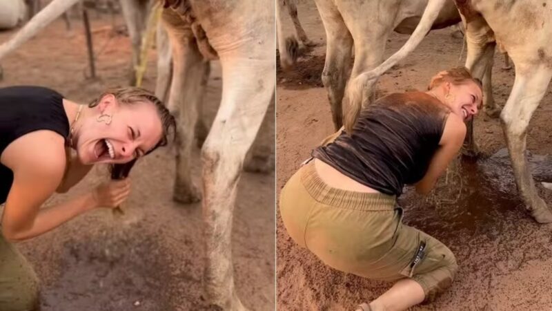 Influenciadora choca a web ao lavar o cabelo com urina de vaca